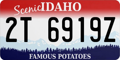 ID license plate 2T6919Z
