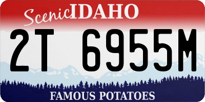 ID license plate 2T6955M
