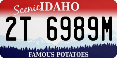 ID license plate 2T6989M