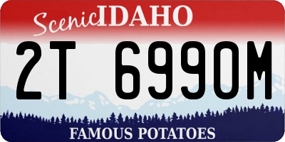 ID license plate 2T6990M