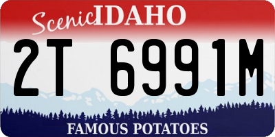 ID license plate 2T6991M