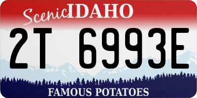 ID license plate 2T6993E