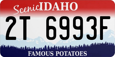ID license plate 2T6993F