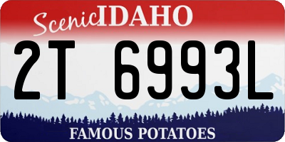 ID license plate 2T6993L