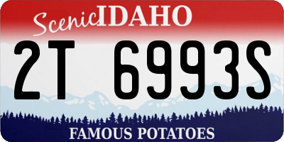ID license plate 2T6993S