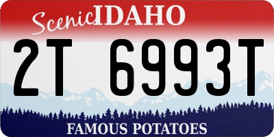 ID license plate 2T6993T