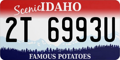 ID license plate 2T6993U