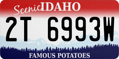 ID license plate 2T6993W