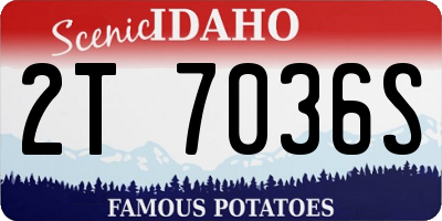 ID license plate 2T7036S