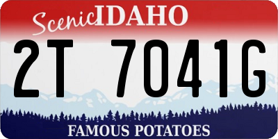 ID license plate 2T7041G