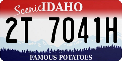 ID license plate 2T7041H