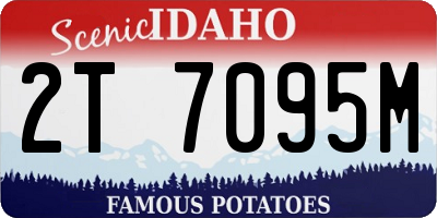 ID license plate 2T7095M