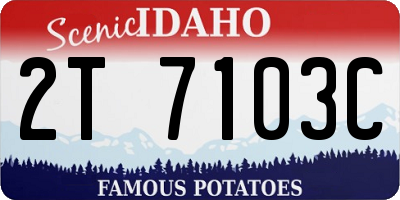 ID license plate 2T7103C