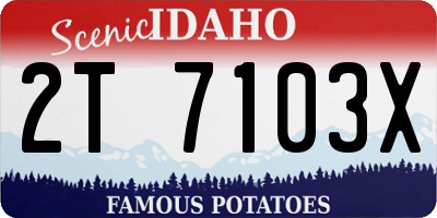 ID license plate 2T7103X