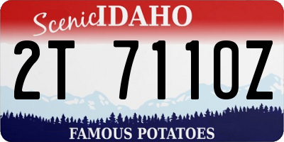 ID license plate 2T7110Z