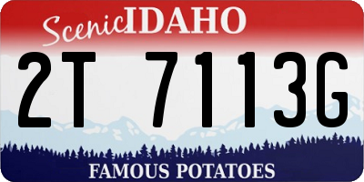ID license plate 2T7113G