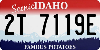 ID license plate 2T7119E