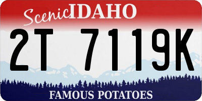ID license plate 2T7119K