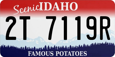 ID license plate 2T7119R