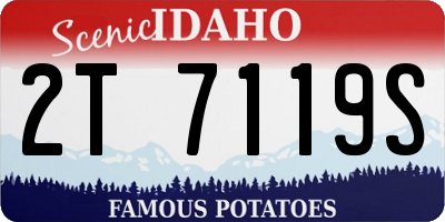 ID license plate 2T7119S