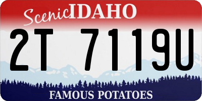 ID license plate 2T7119U