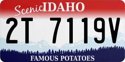 ID license plate 2T7119V