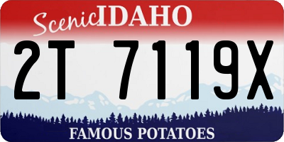 ID license plate 2T7119X