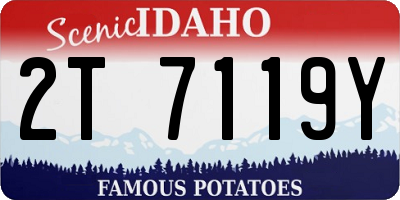 ID license plate 2T7119Y