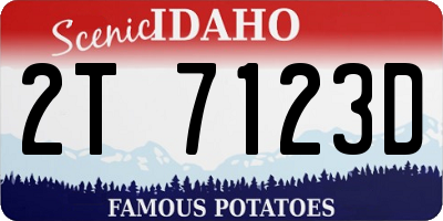 ID license plate 2T7123D