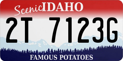 ID license plate 2T7123G
