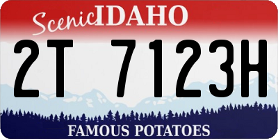 ID license plate 2T7123H