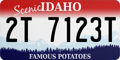 ID license plate 2T7123T