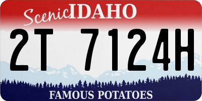 ID license plate 2T7124H