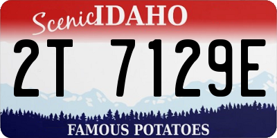 ID license plate 2T7129E