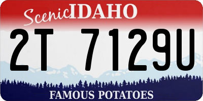 ID license plate 2T7129U