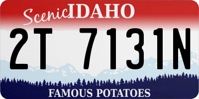 ID license plate 2T7131N