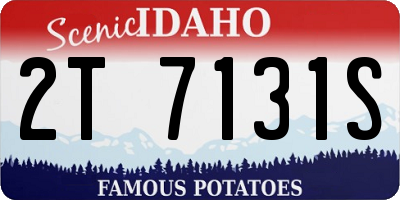 ID license plate 2T7131S