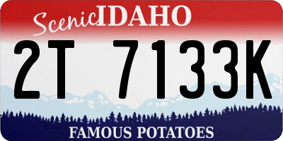 ID license plate 2T7133K