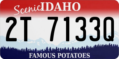 ID license plate 2T7133Q