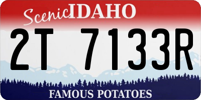 ID license plate 2T7133R