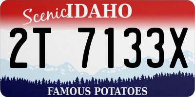 ID license plate 2T7133X