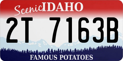 ID license plate 2T7163B