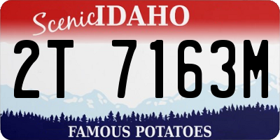 ID license plate 2T7163M
