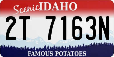 ID license plate 2T7163N