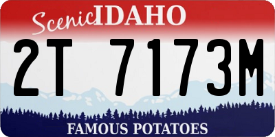 ID license plate 2T7173M