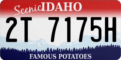 ID license plate 2T7175H