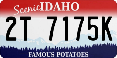 ID license plate 2T7175K