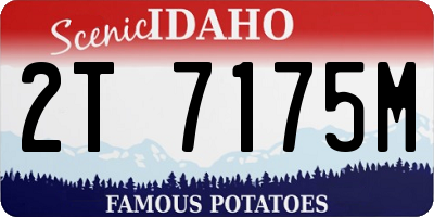 ID license plate 2T7175M