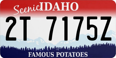 ID license plate 2T7175Z