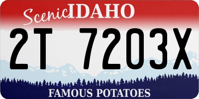 ID license plate 2T7203X